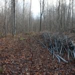 Land inside opening area